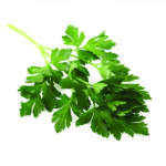 koriander etherische olie (Coriandrum sativum) – spijsvertering & rust van De Groene Linde