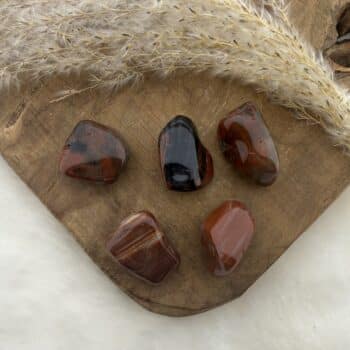 versteend hout knuffelsteen van de groene linde