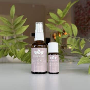 consolation angel collection van de groene linde