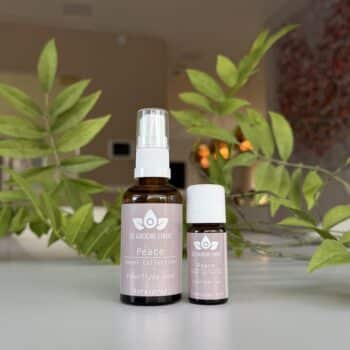 peace angel collection van de groene linde