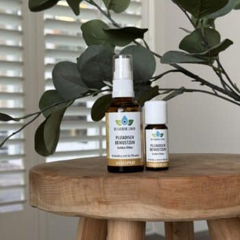 pleiadisch bewustzeijn golden oldies van de groene linde