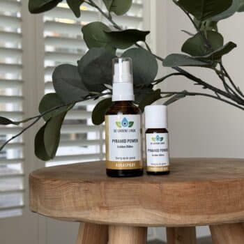 pyramid power golden oldies van de groene linde