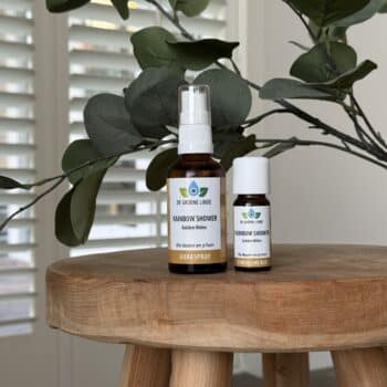 rainbow shower golden oldies van de groene linde