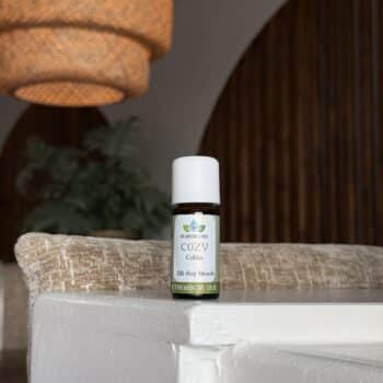 cozy cabin van de groene linde