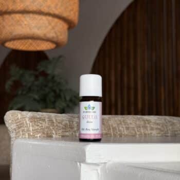 queen rose van de groene linde