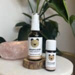 knuffelbeer van de groene linde