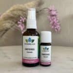 emotioneel existentie lijn van de groene linde