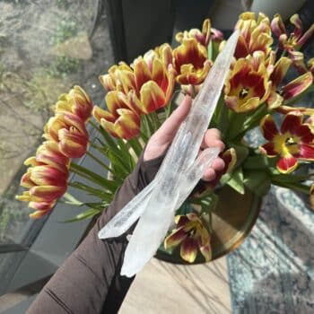 laserkwarts van de groene linde