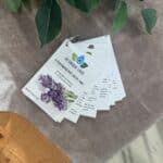 etherische olie waaier van de groene linde