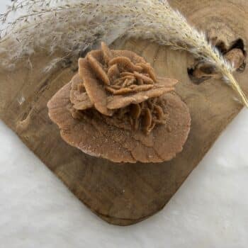 woestijnroos van de groene linde