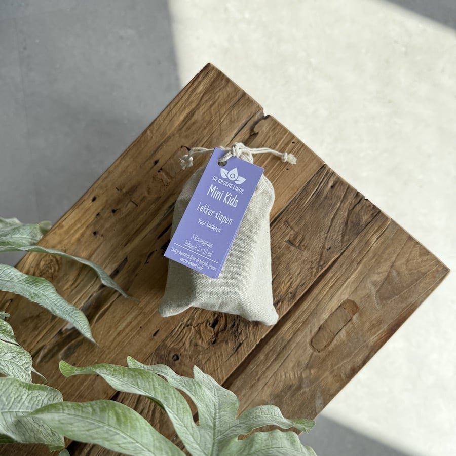 themabag mini kids sleep van de groene linde