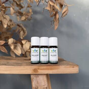 complete set soul recharche etherische olie van de groene linde