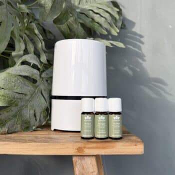 linde care startset van de groene linde