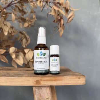 super charger van de groene linde