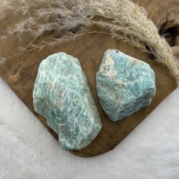 Amazoniet sculptuur van de groene linde