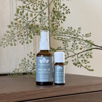 waking up women collection an de groene linde