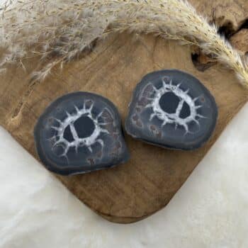 septarie geode 5 van de groene linde