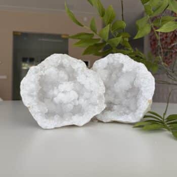 verrassings geode van de groene linde