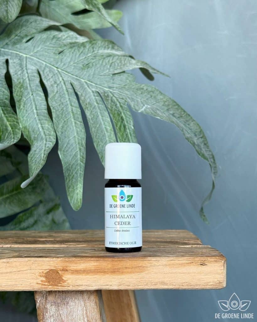 himalaya ceder